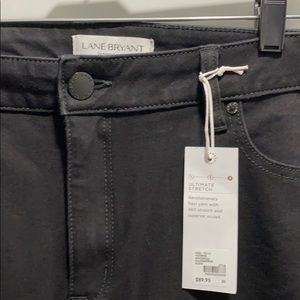 Lane Bryant: Size 20 High Rise Skinny Jeans